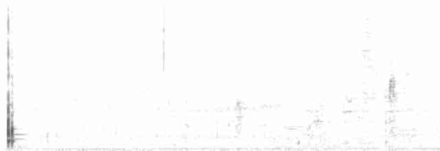 גיבתונית רוננת - ML510680021