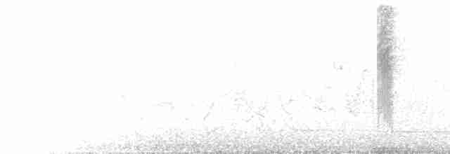 Колібрі-довгохвіст смарагдовий - ML510687641