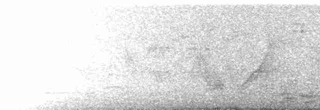 Колібрі-довгохвіст смарагдовий - ML510687651