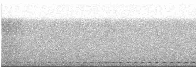 Montane Forest Screech-Owl - ML510692831