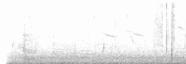 Brown-crested Flycatcher - ML510723551
