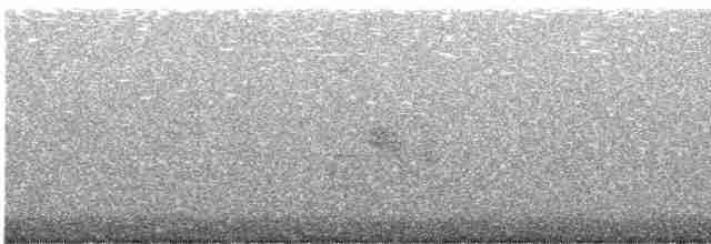 Каньонный крапивник - ML510729771