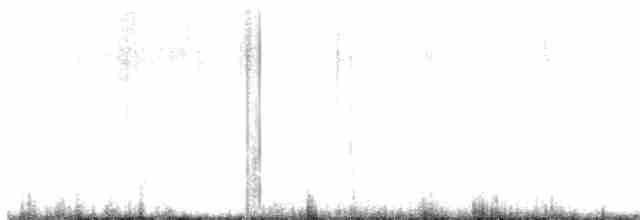 Rotschwanz-Tropikvogel - ML510754601