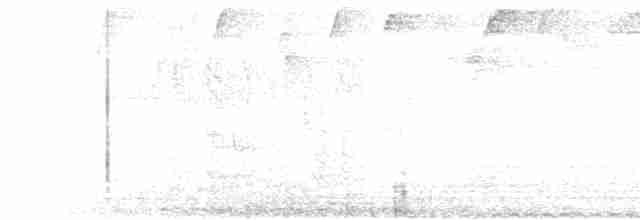 Ticotico de Anteojos (variegaticeps) - ML510796331