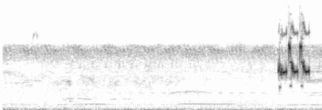 Loggerhead Shrike - ML510803761