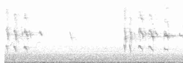 Bull-headed Shrike - ML510869641