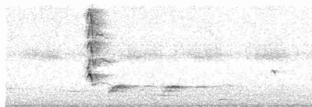 Kara Karınlı Islıkçı Ördek - ML510872081