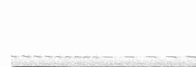White-tailed Trogon - ML510889131