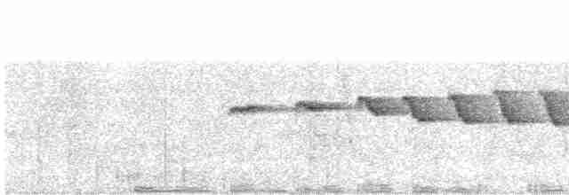 Dull-mantled Antbird - ML510914921
