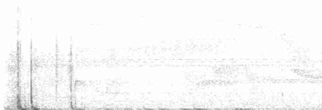 Streifenbrust-Ameisendrossel - ML510932661