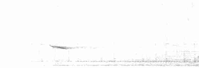 Münzevi Bülbül Ardıcı - ML510945281