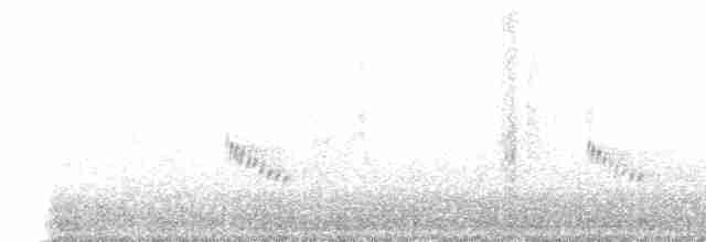 Поплітник каролінський - ML510989911
