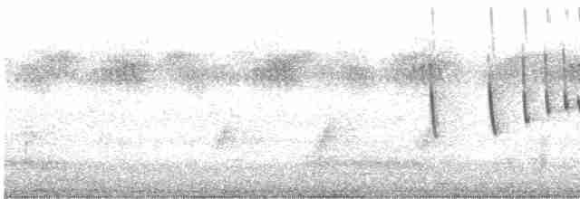 Сиреневогрудая нектарница - ML511033711