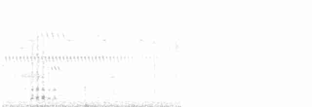 Yellow-mantled Widowbird - ML511056151