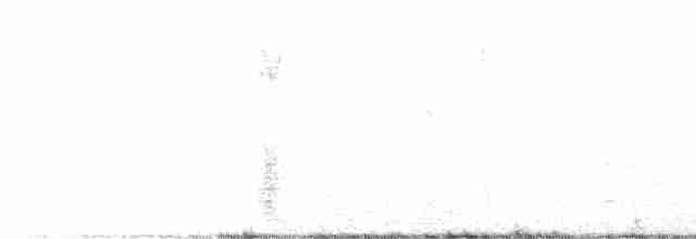 Белобровая овсянка (leucophrys/oriantha) - ML511083081