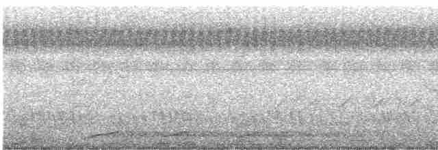 Kara Kulaklı Barbet - ML511101351
