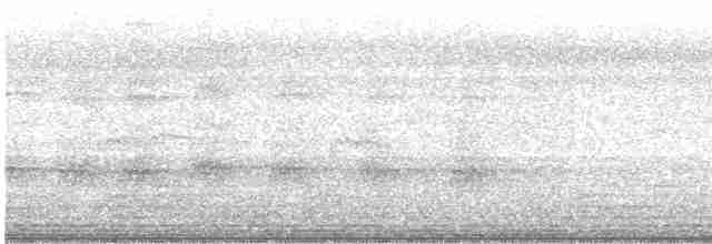White-throated Kingfisher - ML511124501