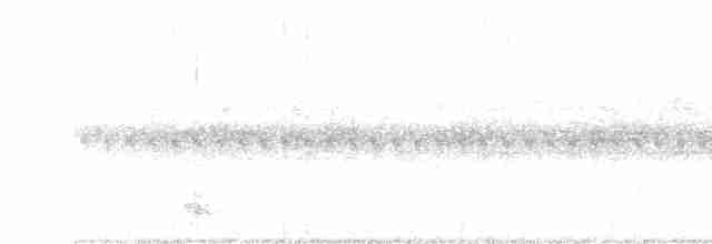 White-throated Nightjar - ML511152941