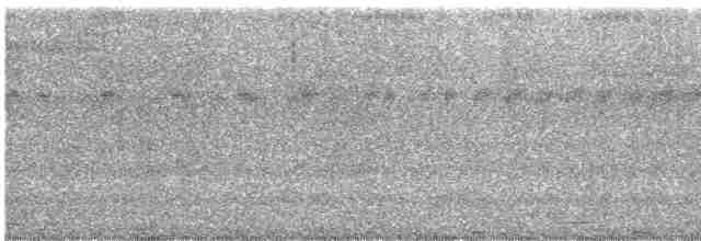 chřástalík kaštanovoprsý - ML511192021