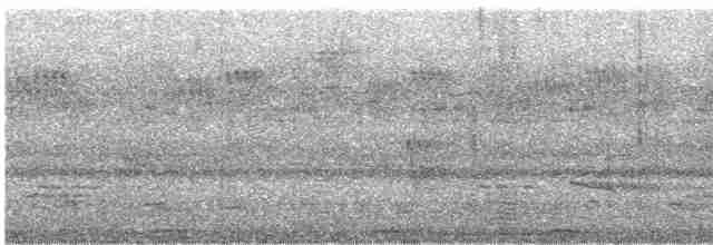 Turaco de Schalow - ML511192401