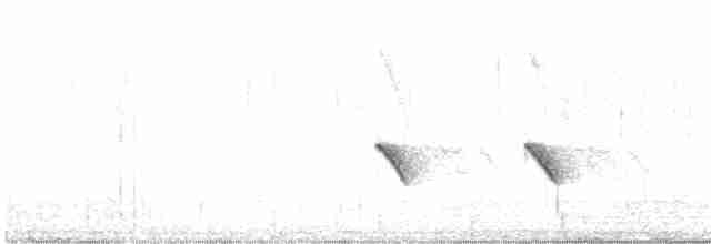 Scarlet-chested Sunbird - ML511193731