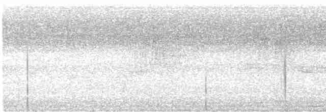 Борнейская воронья кукушка - ML511233411