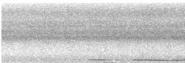 Bornean Ground-Cuckoo - ML511233521