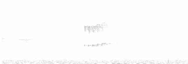 Тиран-інка буроголовий - ML511238391