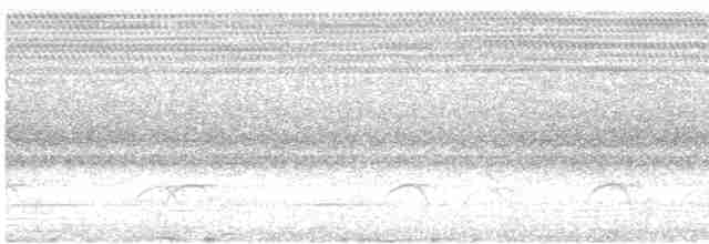 Белобрюхая нектарница - ML511264161