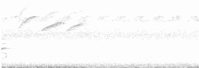 Белобрюхая нектарница - ML511264171