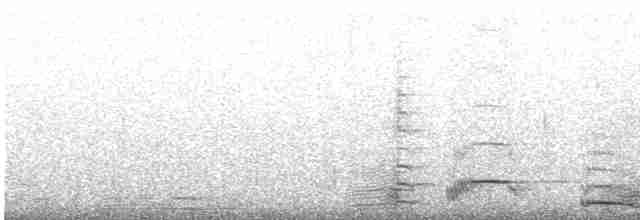 Cygne siffleur - ML511304291