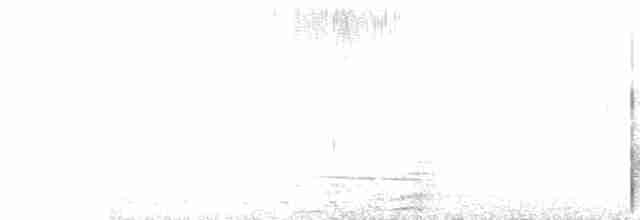 Clorofonia Coroniazul - ML511320781