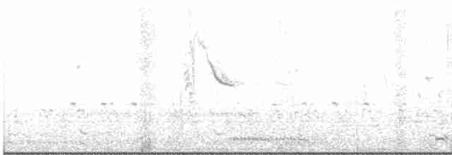 Magellanic Woodpecker - ML511330131