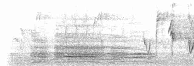 ノドグロハナサシミツドリ（brunneiventris） - ML511345221