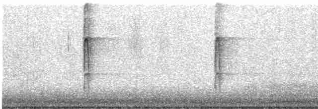 strakapoud osikový (ssp. pubescens/medianus) - ML511350671