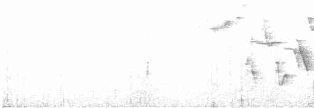 Pale-naped Brushfinch - ML511352501