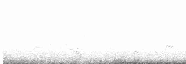 kulíkovec šedý - ML511359751