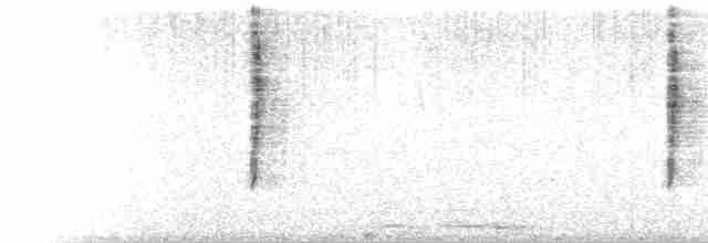 Черногорлая хвойница - ML511376821