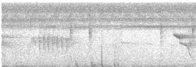 Wedge-tailed Sabrewing - ML511378551