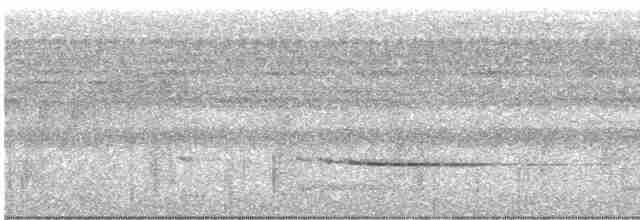 Striped Wren-Babbler - ML511386011