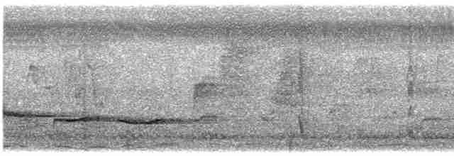 Пятнистогрудая тимелия-говорушка - ML511416691