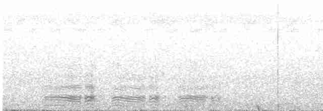 Серый петух - ML511428991