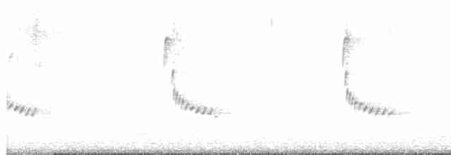 Каролинский крапивник - ML511454731