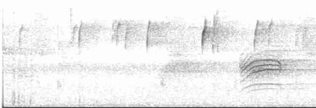 Дрізд-короткодзьоб плямистоволий - ML511463941