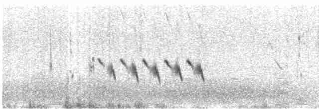 Grass Wren (Austral) - ML511482961