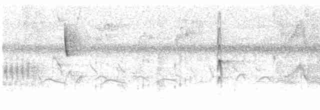 Нектарець аметистовий - ML511498161