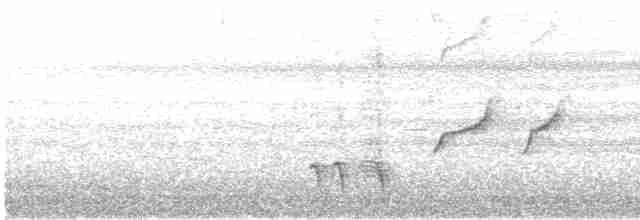 ML511572421 visualization
