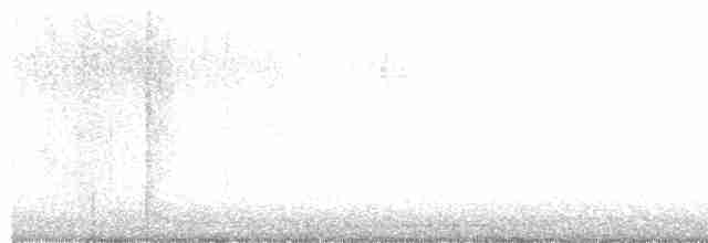 Troglodyte de Baird - ML511599641
