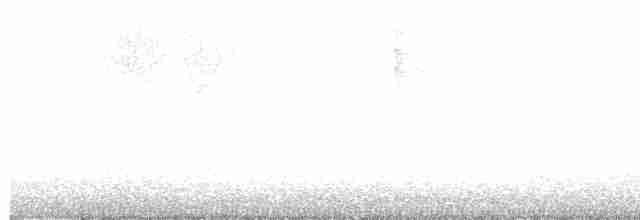 Pazifikzaunkönig - ML511601011