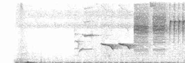 Zapata Çıtkuşu - ML511650711